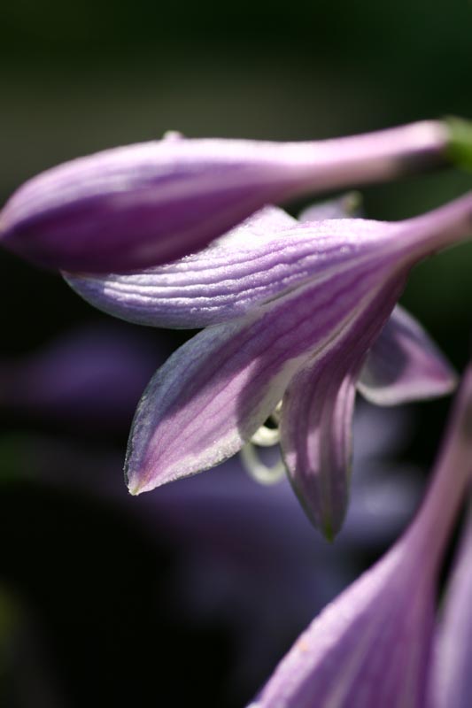 e0045106_2244727.jpg