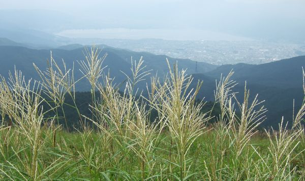 c0073016_22361910.jpg