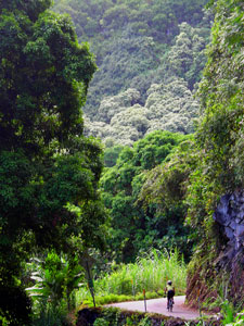 d0023725_18123398.jpg