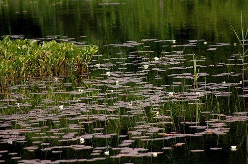 c0027027_23332125.jpg
