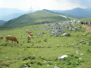 e0065830_025632.jpg
