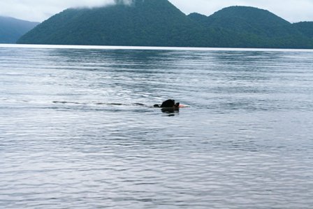b0085331_1135392.jpg
