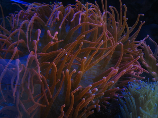 e0022439_4244787.jpg