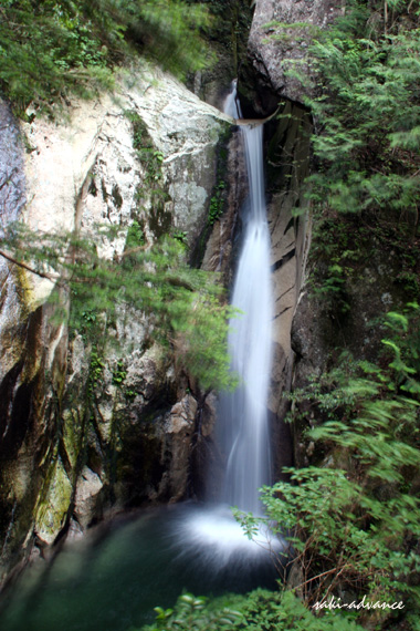 c0001445_8281949.jpg