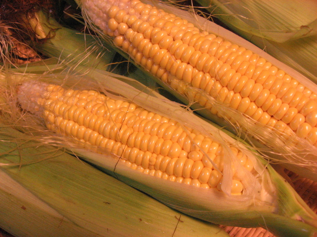 b0097747_8384216.jpg