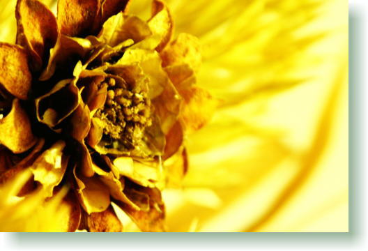 f0082348_18324027.jpg