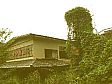 a0034453_20113841.jpg