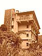 a0034453_20224263.jpg