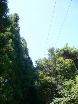 a0063364_2350372.jpg