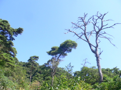 a0063364_23514757.jpg