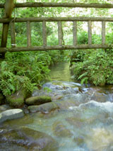e0058665_2056359.jpg