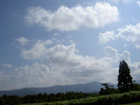 e0058665_2057752.jpg