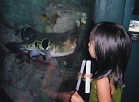 b0091866_022333.jpg