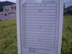 f0079980_141464.jpg