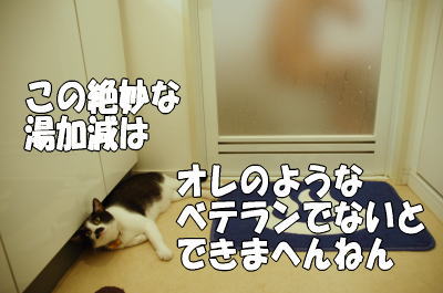 b0041182_23153663.jpg