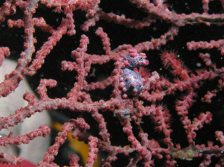 d0034291_23311384.jpg