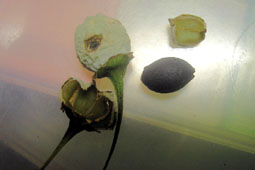 e0083097_22442884.jpg