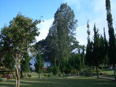 d0080998_8113131.jpg