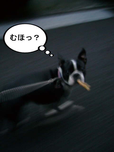 d0070702_23363510.jpg