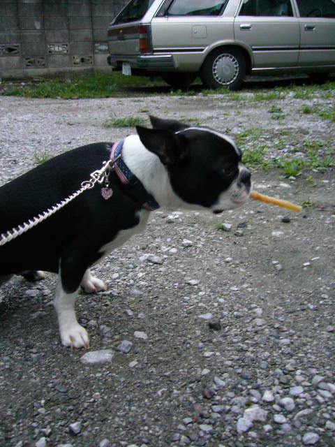 d0070702_23402627.jpg
