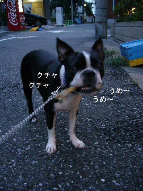 d0070702_23414784.jpg