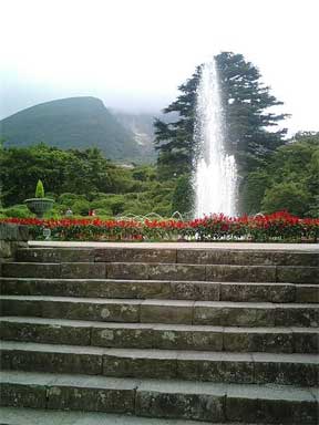f0036603_21364546.jpg