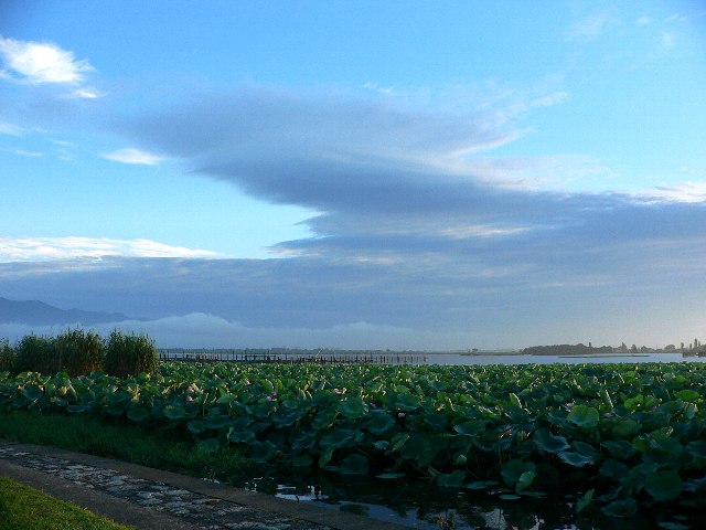 a0018608_11463418.jpg