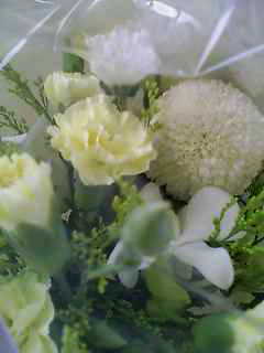 f0090009_16391121.jpg