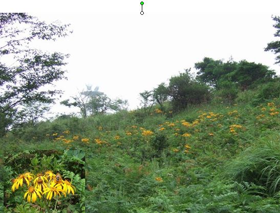 c0073016_0185632.jpg