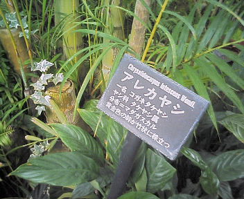 d0013816_21471769.jpg