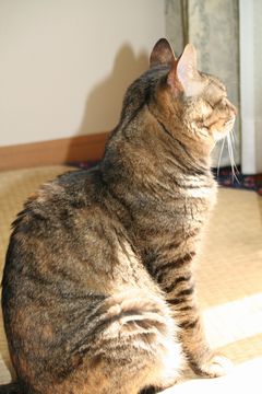 a0027720_21555532.jpg