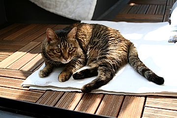 a0027720_21572981.jpg