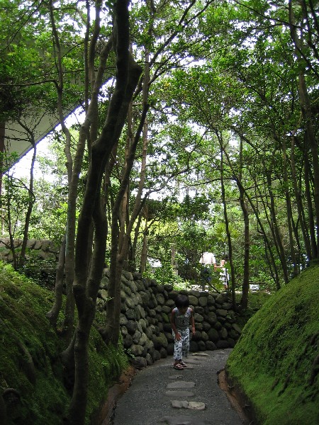 f0085728_0431667.jpg