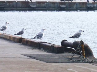 b0085331_10314138.jpg
