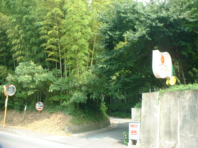 a0074938_15273274.jpg