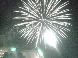 b0029438_0535272.jpg