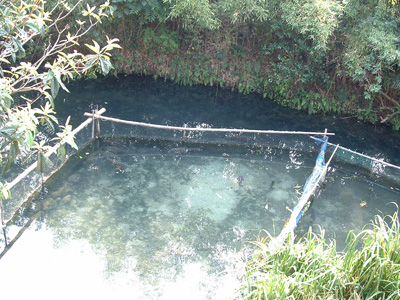 f0096245_14362714.jpg