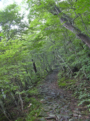 a0001354_2125578.jpg