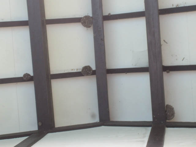 d0079570_054349.jpg