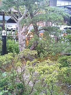 f0031675_7501747.jpg