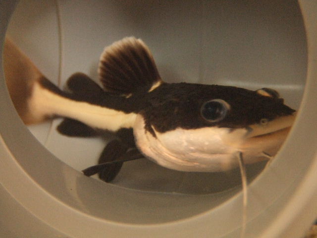 e0032488_15171415.jpg
