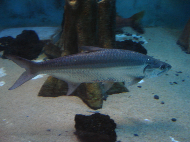 e0092190_06291.jpg
