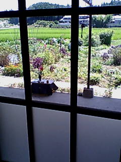 c0081691_13565951.jpg
