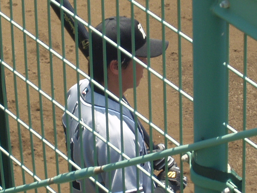 a0019994_874543.jpg