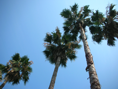 d0002494_21315940.jpg