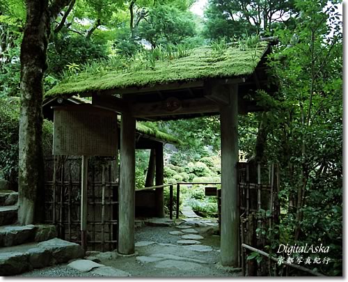 d0004296_1015049.jpg