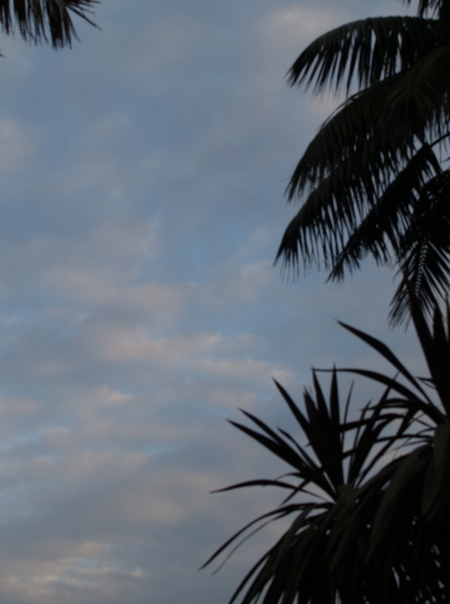 e0089001_21252148.jpg
