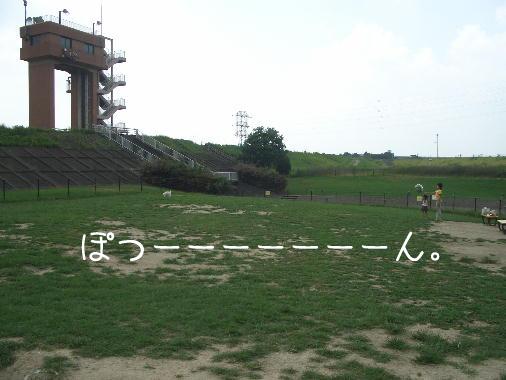 a0051402_11394491.jpg