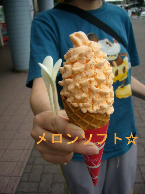 d0070702_1730237.jpg
