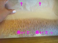 a0054504_911264.jpg
